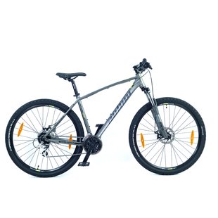 Велосипед Rival II 29" Gray 21" 2021